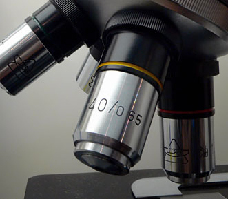 SUICO Investigación y desarrollo
