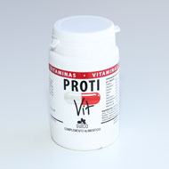 Proti Vit